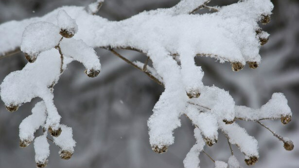 暴風雪