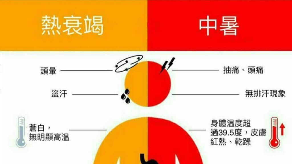 夏日健康小常識，中暑、熱衰竭怎麼分？