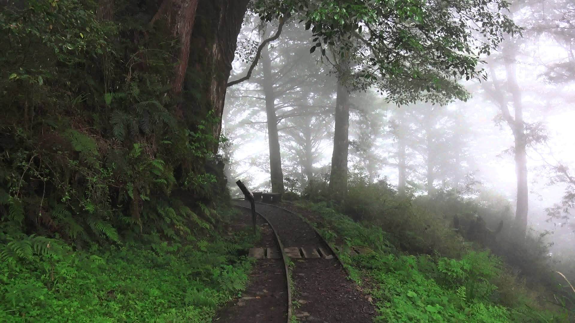 宜蘭見晴懷古步道。（source by youtube.com）