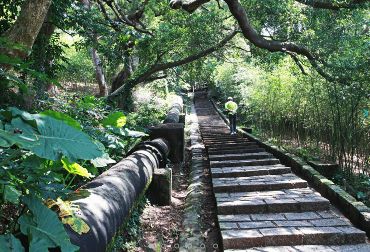 台北天母水管路古道。（source by travel.taipei）