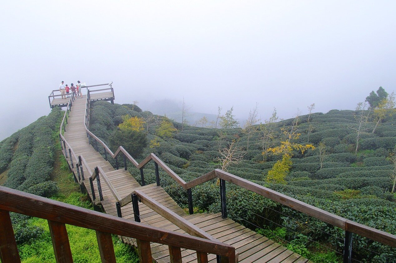 南投大崙山步道。（source by mapio.net/pic）