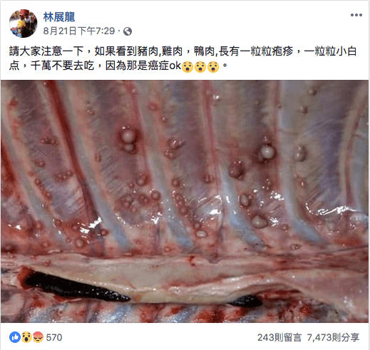 就是他散播謠言，請各位網友不要再轉發了！