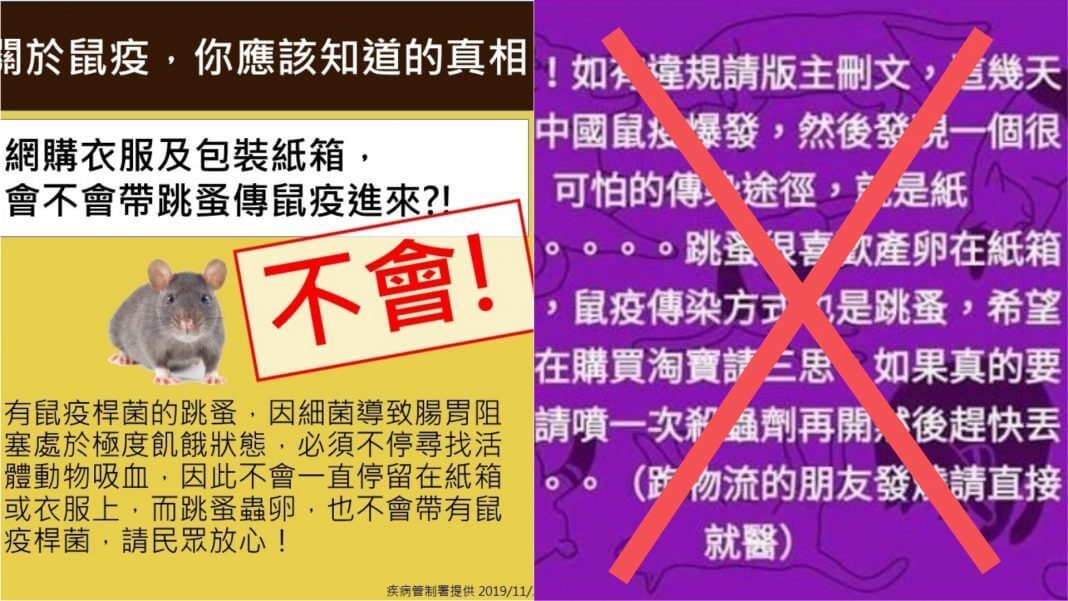 中國鼠疫 傳染途徑就是紙箱 ？人一旦感染後飛沫就能傳染？錯誤謠言勿再轉發！（左圖／疾管署提供，右圖／翻攝自網路）