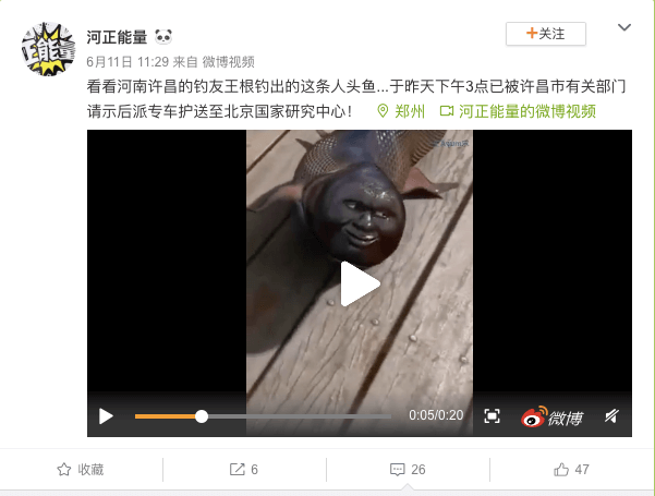 中國開始流傳的「人頭魚」謠言。